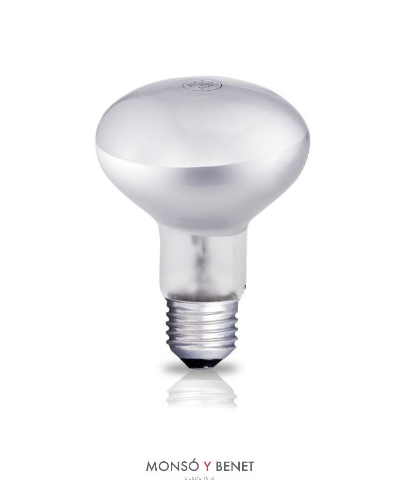 BOMBILLA R-90mm. 230V 42W E27