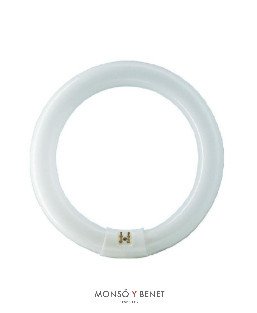 TUBO CIRCULAR T9 COOL WHITE 840 1A. MARCA 22W G10q