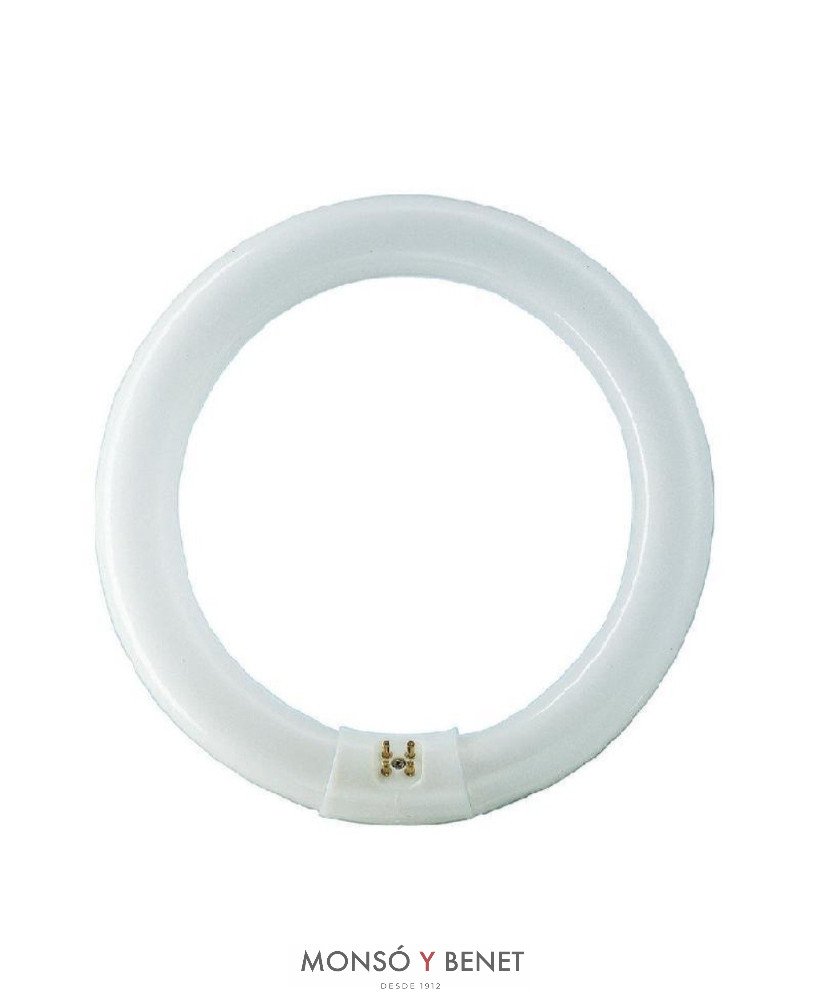 TUBO CIRCULAR T9 COOL WHITE 840 1A. MARCA 22W G10q