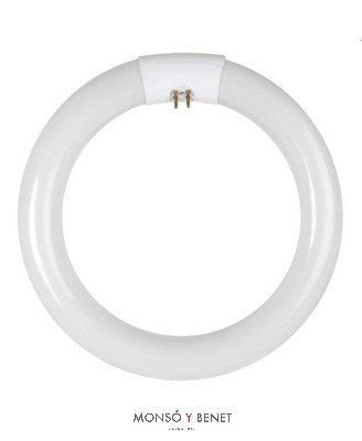 TUBO CIRCULAR T9 DAYLIGHT 865 ECONOMICO 32W G10q