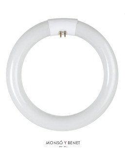TUBO CIRCULAR T9 DAYLIGHT 865 ECONOMICO 32W G10q