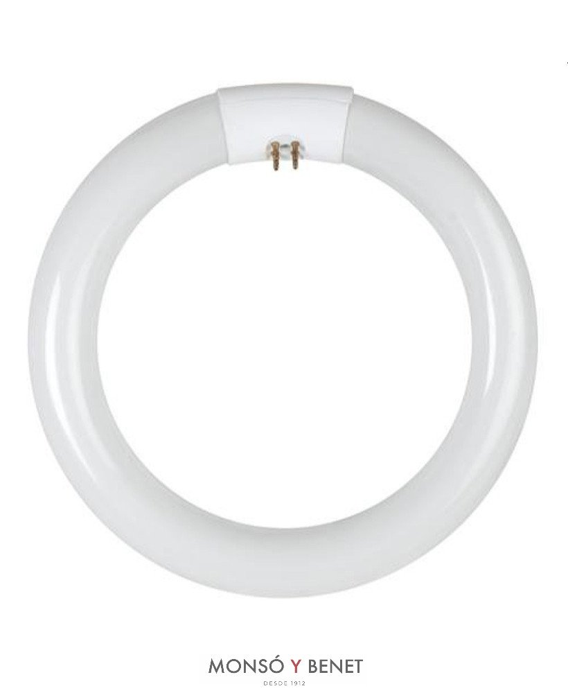 TUBO CIRCULAR T9 DAYLIGHT 865 ECONOMICO 32W G10q