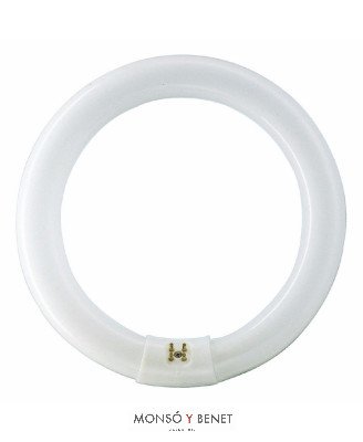 TUBO CIRCULAR T9 NEUTRAL WHITE 830 1A. MARCA 32W G10q