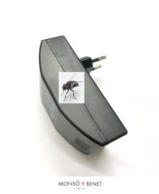 image-hover