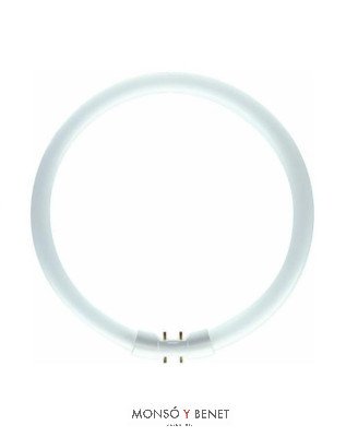 TUBO CIRCULAR T5 NEUTRAL WHITE 830 1A. MARCA 22W 2GX13