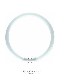 TUBO CIRCULAR T5 NEUTRAL WHITE 830 1A. MARCA 22W 2GX13