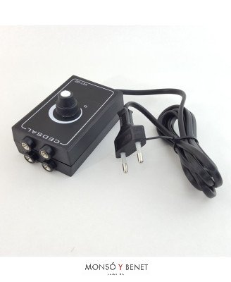 INTERMITENTE 2 CANALES REGULABLE No. 3009/1000W