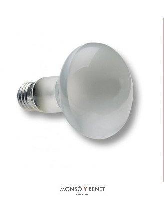 BOMBILLA R-90mm. 230V 100W E27