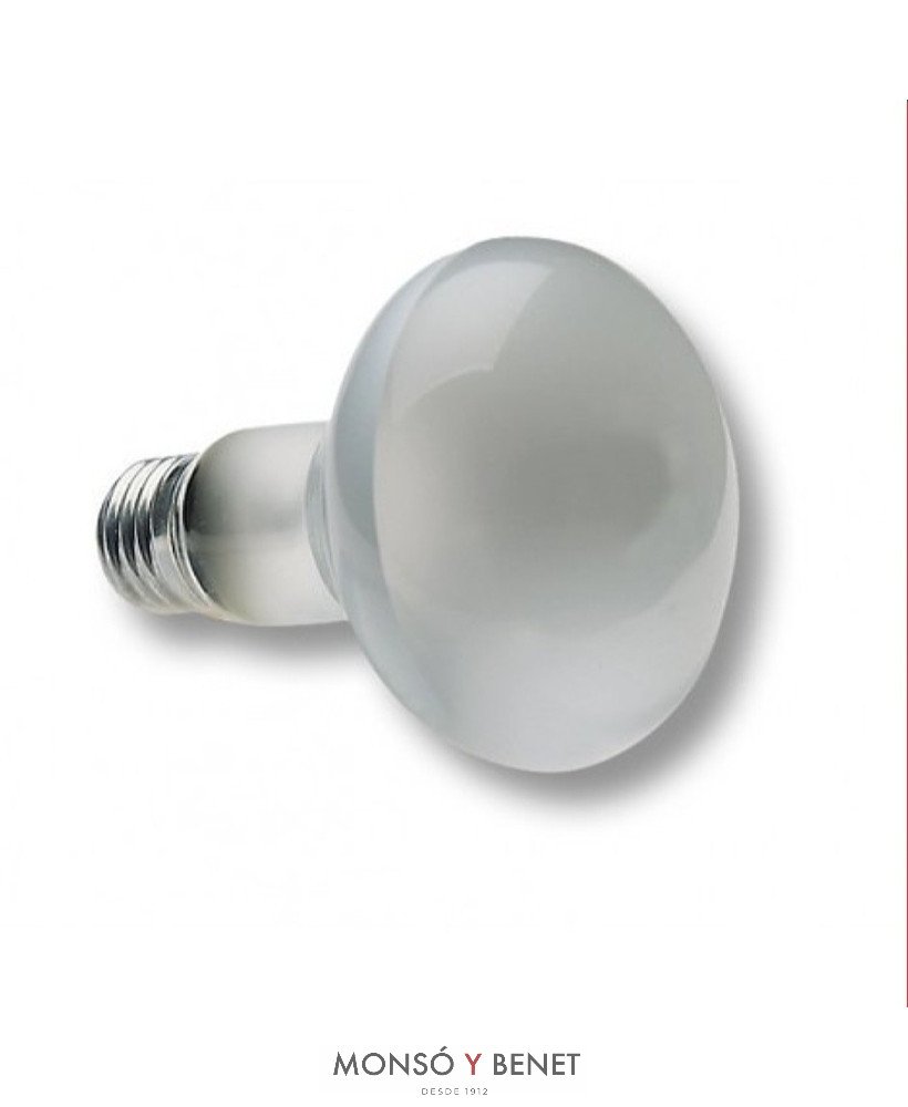 BOMBILLA R-90mm. 230V 100W E27