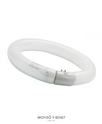 TUBO CIRCULAR T9 DAYLIGHT 865 ECO0MICO 40W G10q