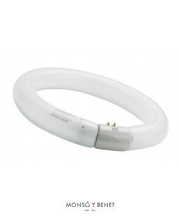 TUBO CIRCULAR T9 DAYLIGHT 865 ECO0MICO 40W G10q