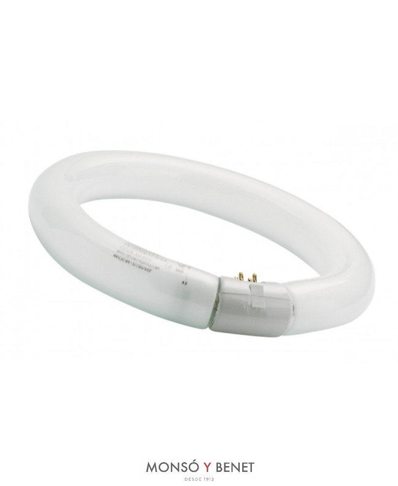 TUBO CIRCULAR T9 DAYLIGHT 865 ECO0MICO 40W G10q