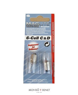 BLISTER RECAMBIO MAGLITE 6-R20