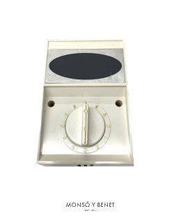 REGULADOR VELOCIDAD REG101