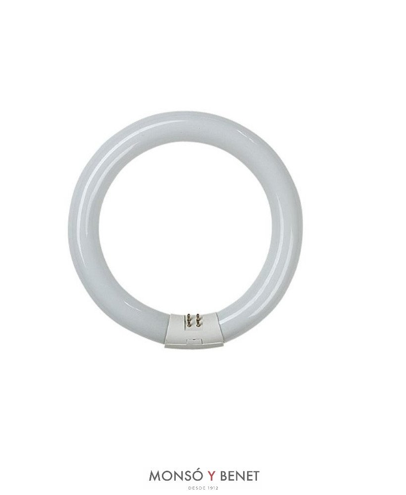 TUBO CIRCULAR T9 DAYLIGHT 865 1A. MARCA 22W G10q