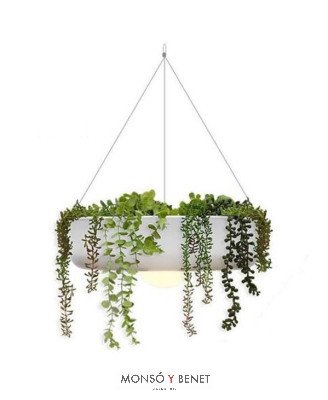 image-hover