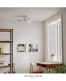 image-hover
