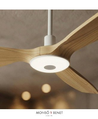 2199955 - Ventilador techo Ø107 cm IP44 con luz